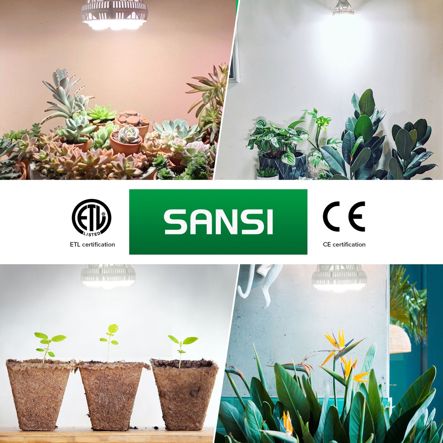 Grow Light Bulb - 36W