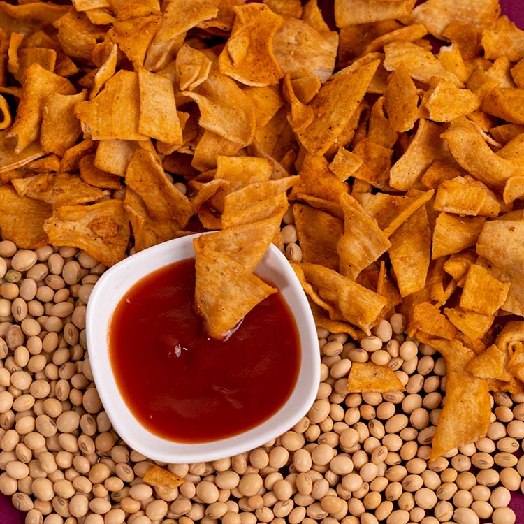 Healthy Master Soya Chips
