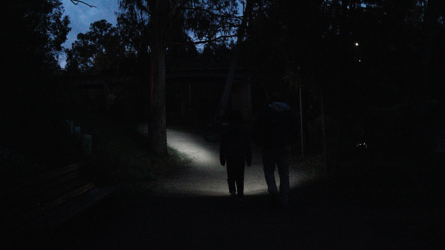 MaXaem 6 Volt Flashlight and Battery