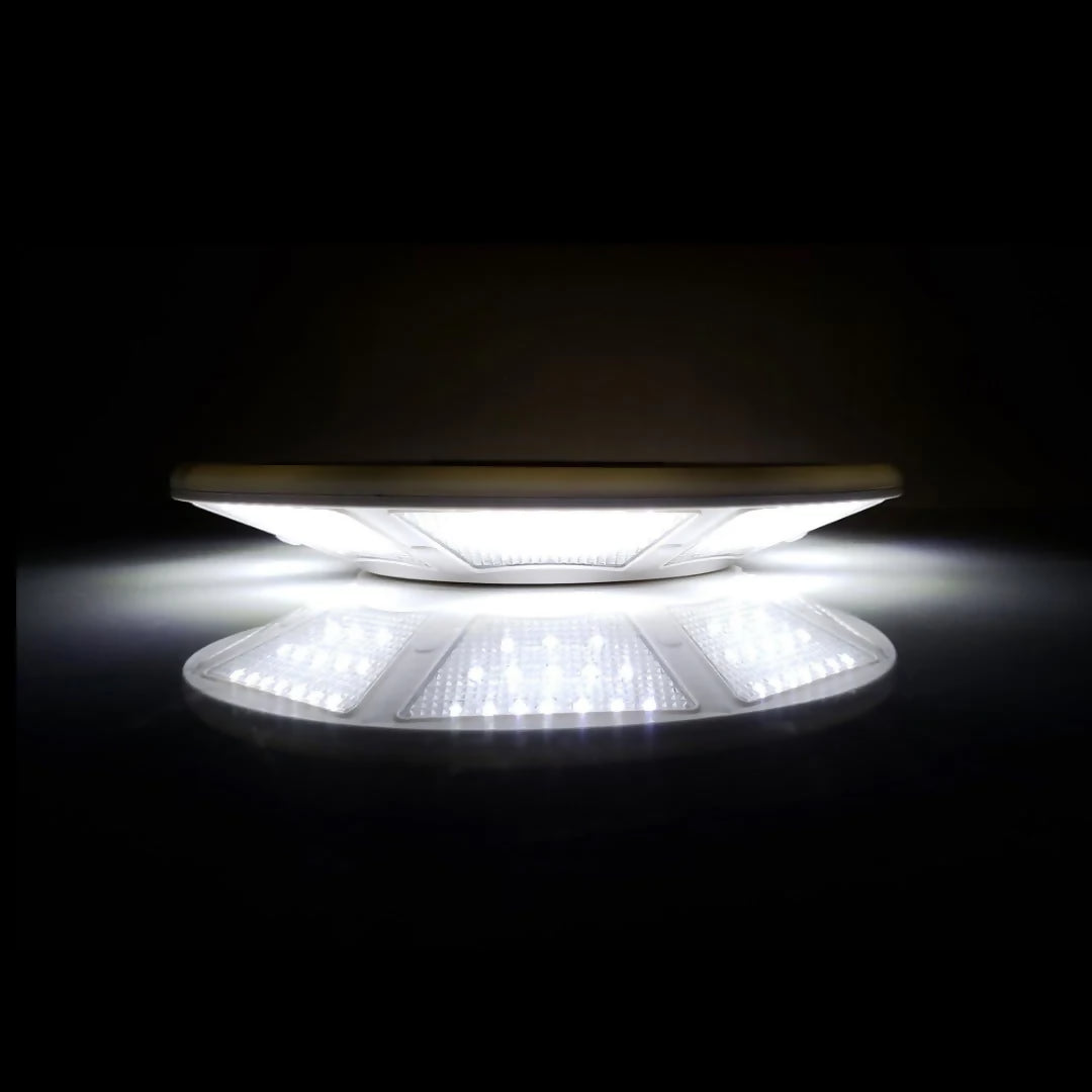 990202_08-bright_ff395a3e-7a3d-4f40-a41a-ddfb00b6a1fd_4000x@2x.progressive