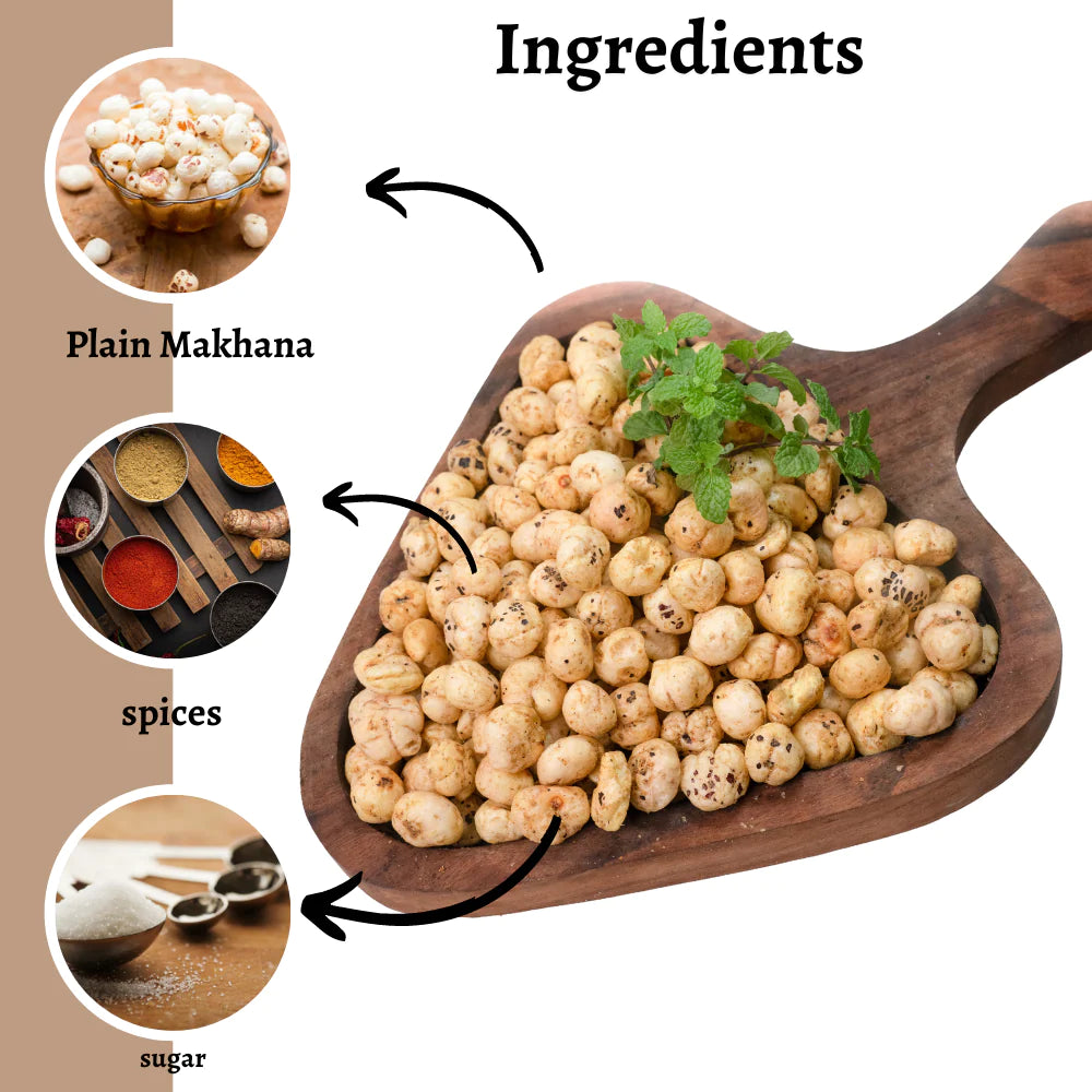 Healthy Master Makhana Pudina