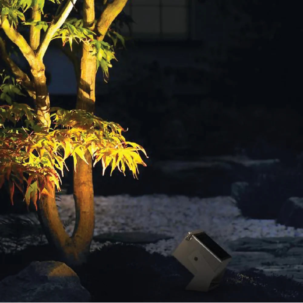 6_4000x@2x.progressive