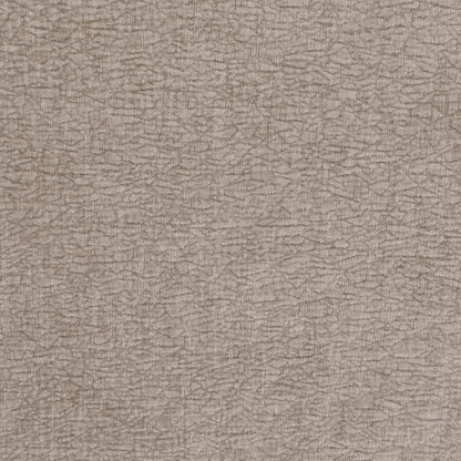 Silvana - Upholstered Rolled Loveseat With Curved Back And Foam Cushions - Beige