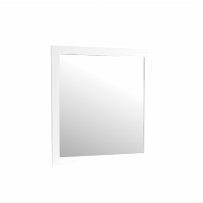 Burlington - Modern Design Transitional Wall Mirror