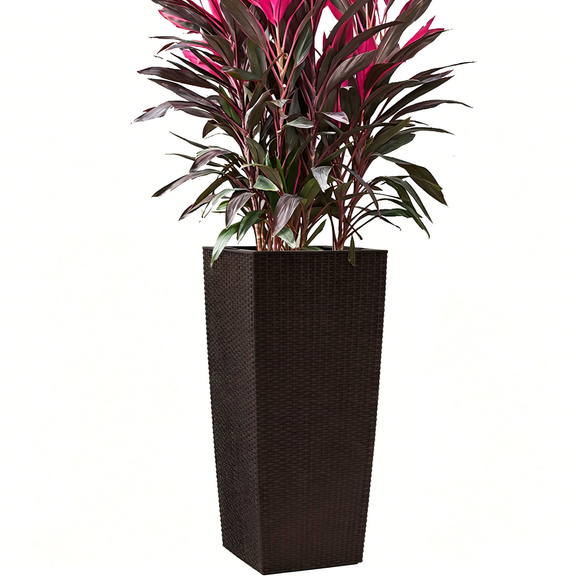Indoor Outdoor Planter With Automatic Watering System