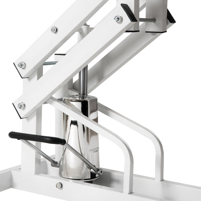 Hydraulic Pet Grooming Table