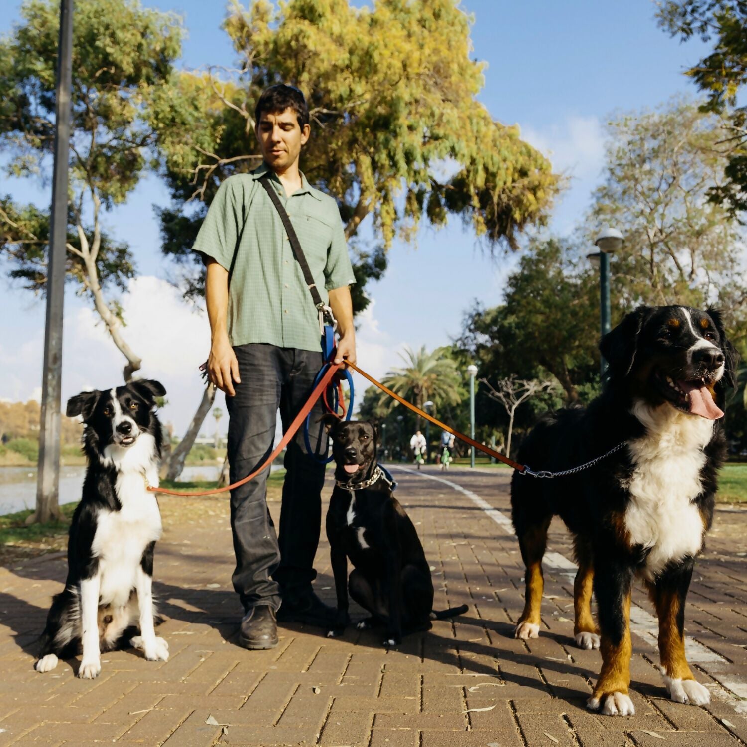 PlasTechFree Home Compostable Pet Waste Bags