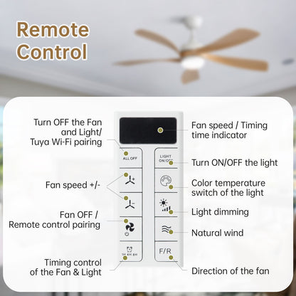 Ceiling Fan & DC Motor And Integrated Light