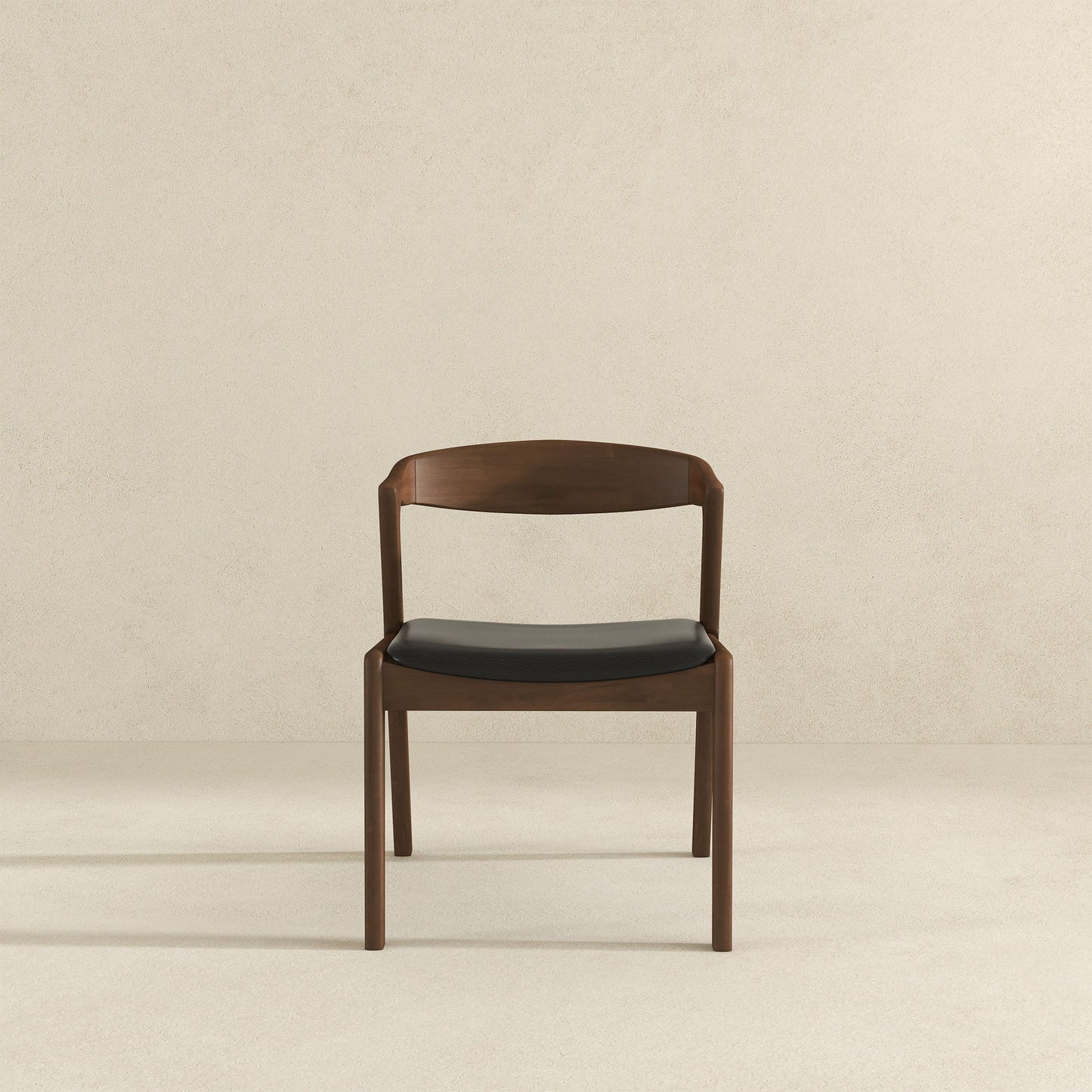 Dakota - Mid-Century Modern Dining Chair (Set of 2)