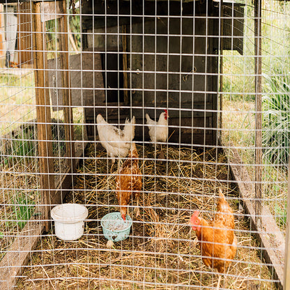 Galvanized Hardware Cloth, Metal Wire Fencing Roll For Garden And Animal Protection - Silver