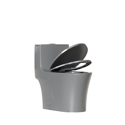 1 Piece Toilet With Dual Flush And Soft Closing Seat