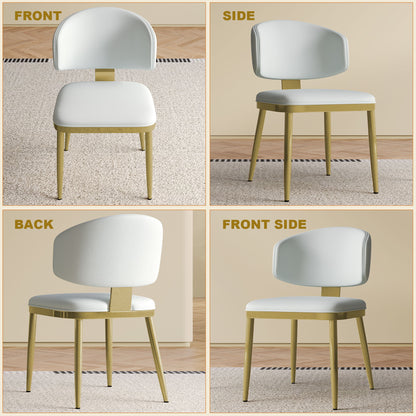 Modern Dining Chairs For Kitchen (Set of 2)
