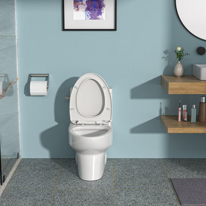 Modern Ceramic 1 Piece Toilet With Single Flush And Soft Closing Seat - White