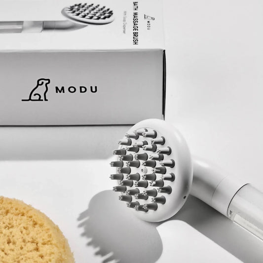 modu-massage-brush
