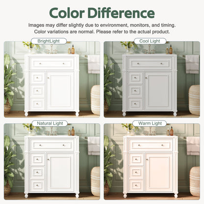Bathroom Vanity Cabinet With Sink, Soft Close Doors With Door Organizer