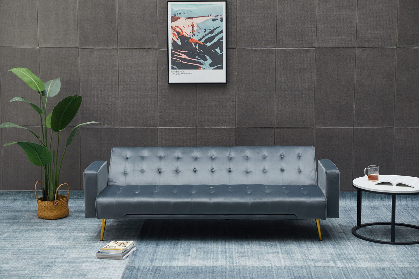 Comfort Compact Design Sofa Bed