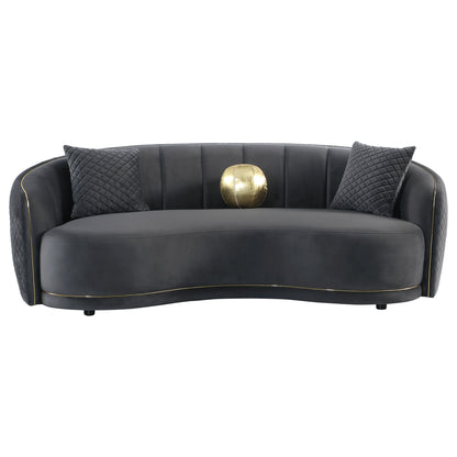 Lorraine - 2 Piece Upholstered Sofa Set With Tufting Trim - Dark Gray