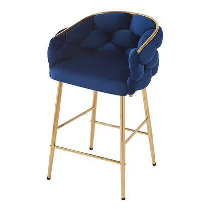 Modern Counter Stools (Set of 2)