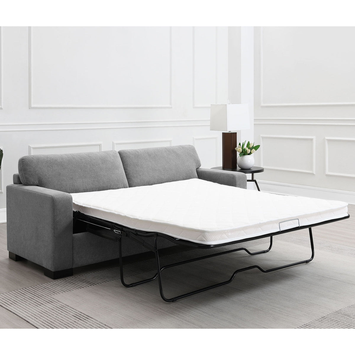 Vicente - Sleeper Sofa With Queen Mattress - Gray