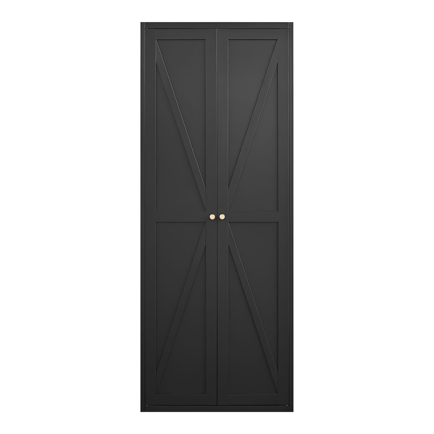Adjustable 2 Door Storage Cabinet With Adjustable Shelves