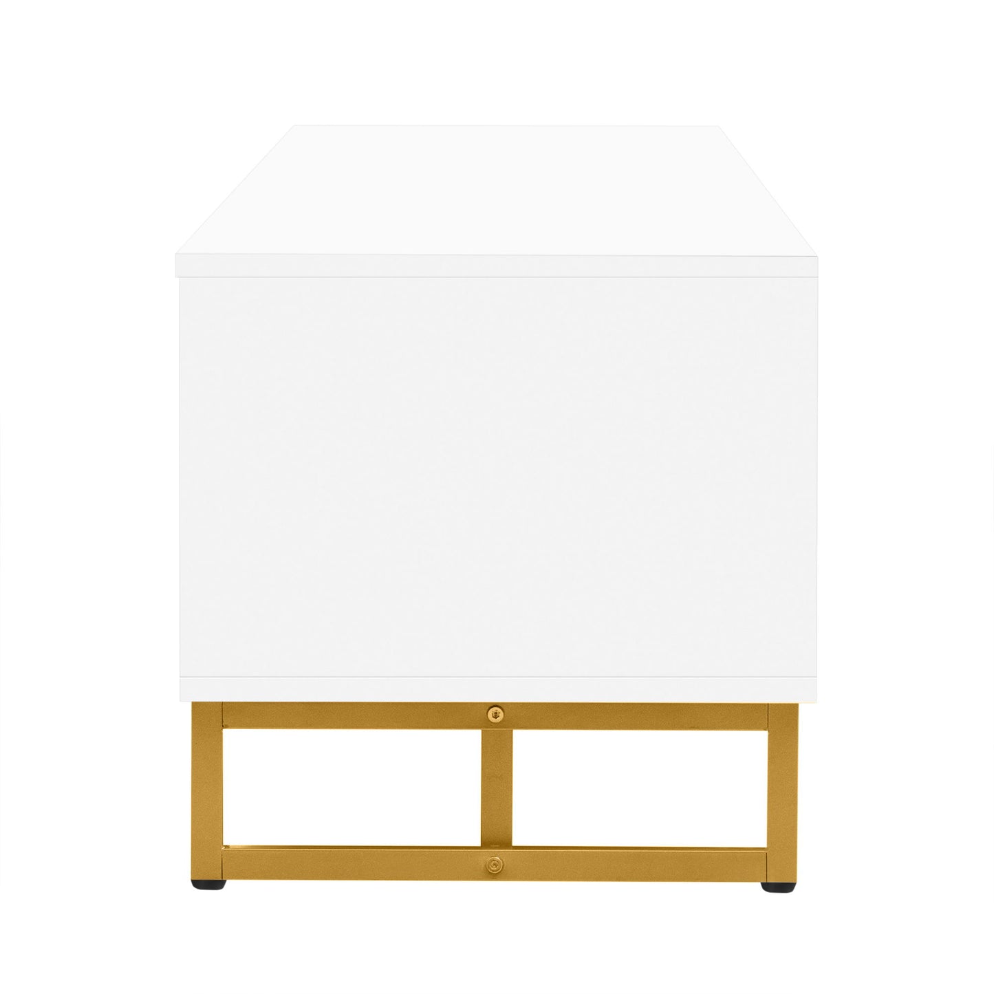 Modern TV Stand With Storage For Living Room