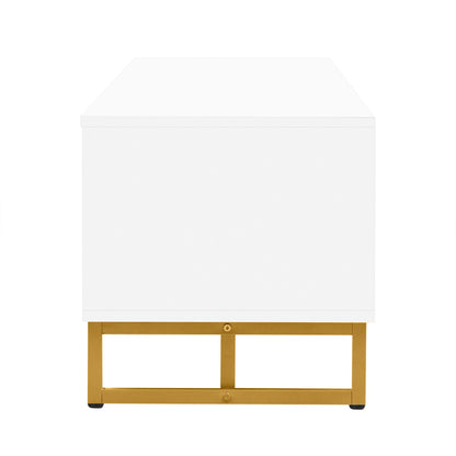 TV Stand With Storage For Living Room