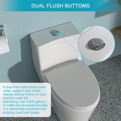 1 Piece Toilet, Dual Flush, Soft Closing Seat - White