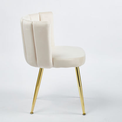 Ergonomic Dining Chair (Set of 2)