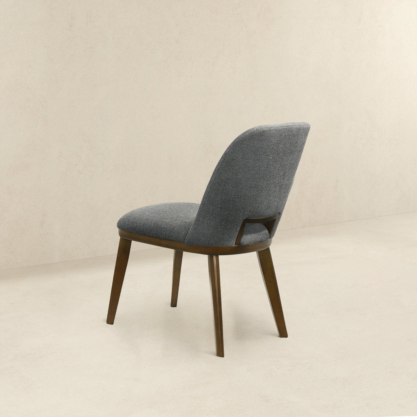 Blake - Modern Dining Chair (Set of 2)
