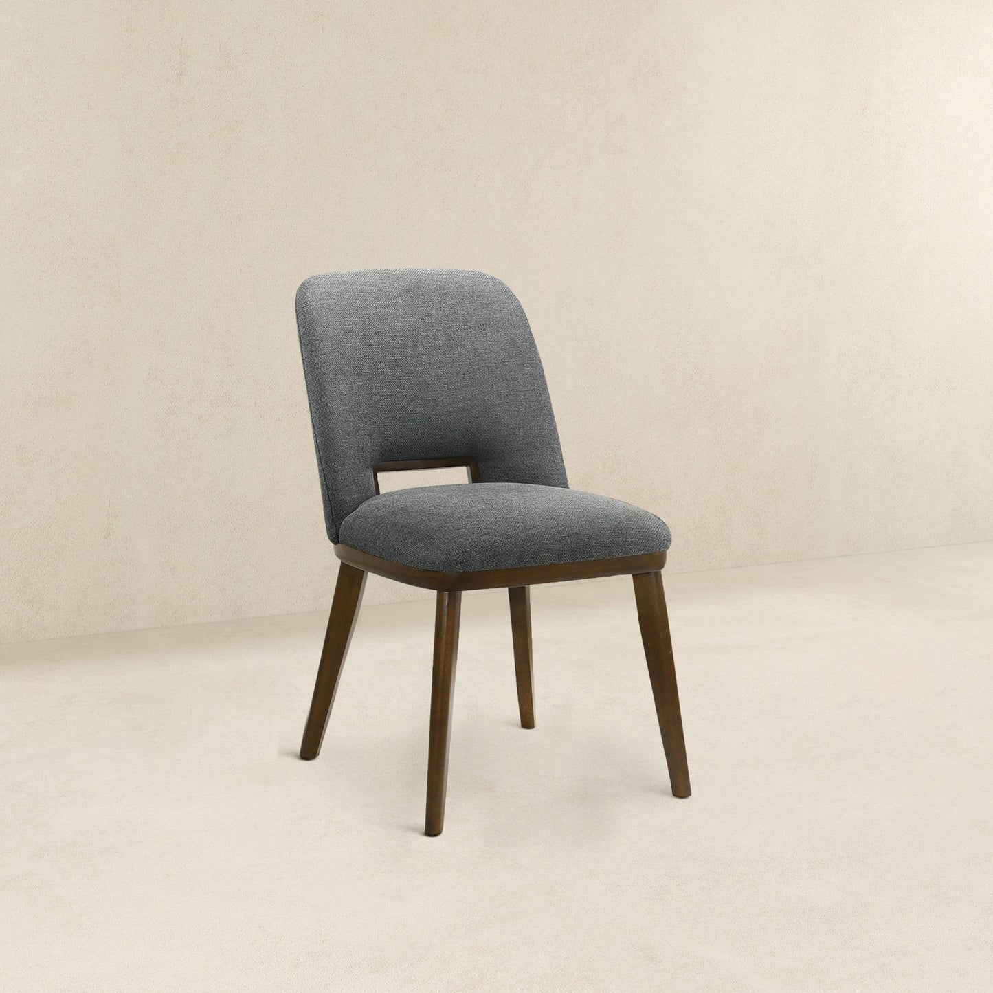 Blake - Modern Dining Chair (Set of 2)