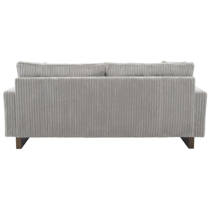 Modern Loveseat Sofa With 4 Pillows