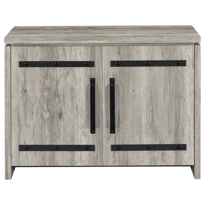 2 Door Accent Cabinet With Accents - Gray