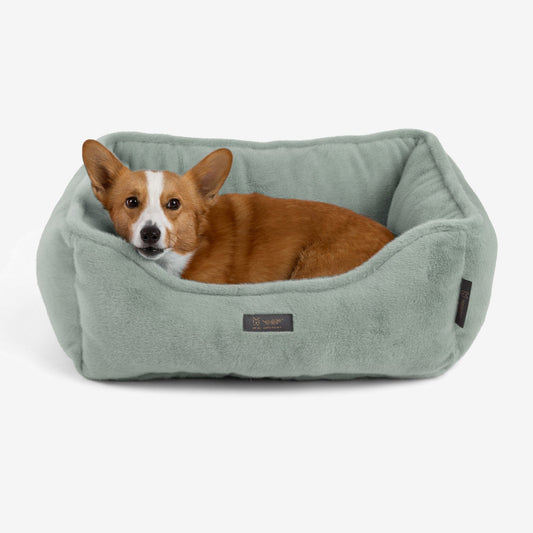 The Dream ONE Bed in Paris Green