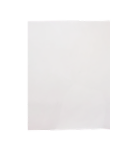Sani Safe Bath Mat