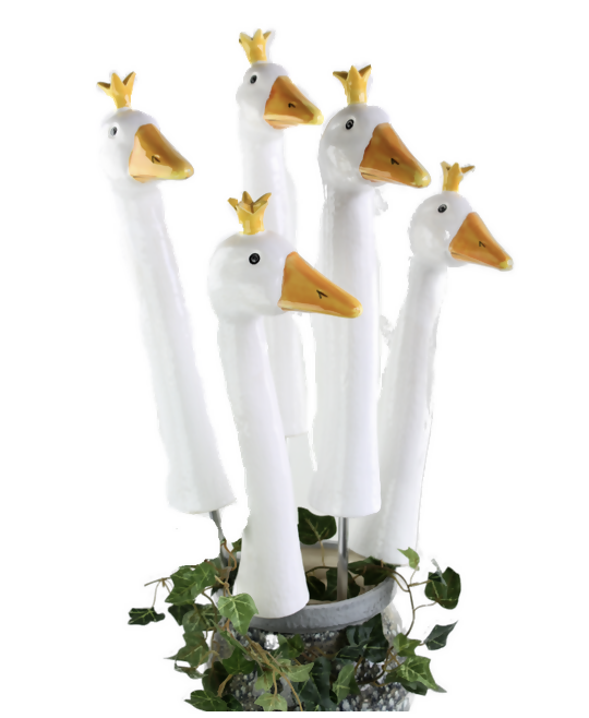 Crown Goose