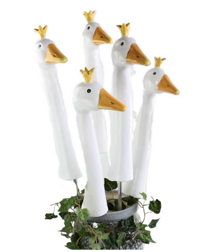 Crown Goose