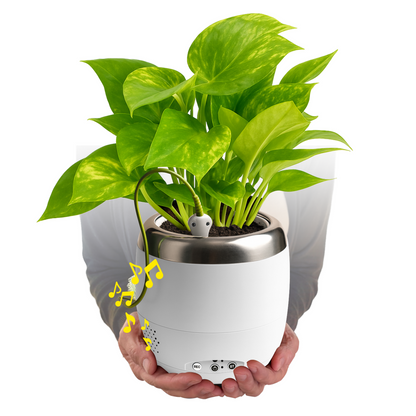Plant Petz