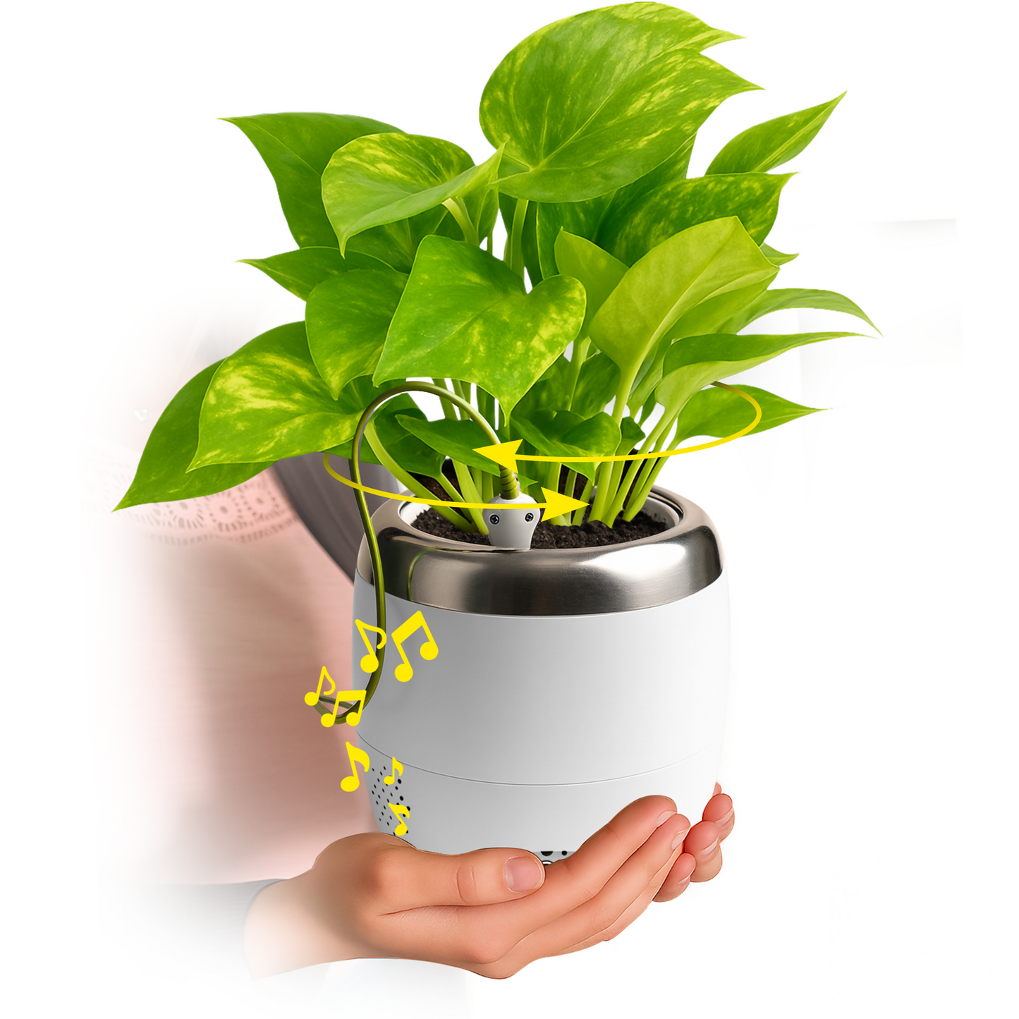 Plant Petz