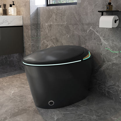 Unique Smart Toile With Built In Bidet, Auto Open / Close Seat, Foot Sensor, LED Display, Night Light, Warm Water & Dryer Ceramic