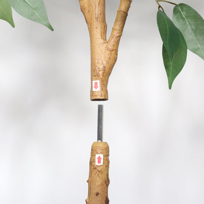 6Ft Artificial Ficus Tree With Natural Trunk In Pot For Indoor Home Office Decor - Green Leaves