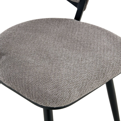 Dining Chairs For Dining Room & Kitchen (Set of 2)