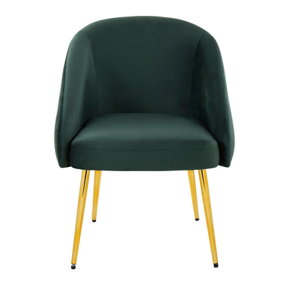 Shiraz - Contemporary / Glam Chair