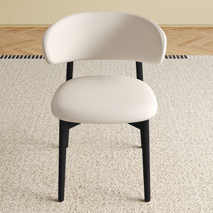 Mid-Century Modern Dining Chair (Set of 2)