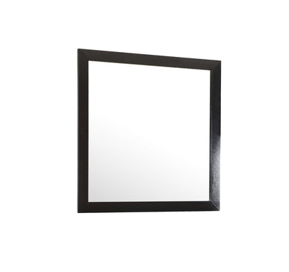 Burlington - Modern Design Transitional Wall Mirror