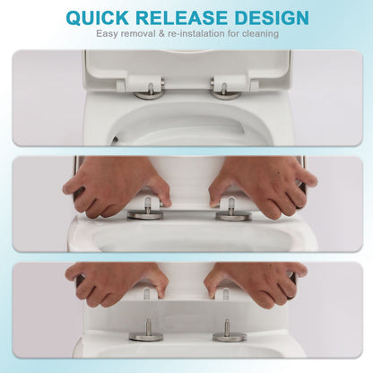 1 Piece Toilet For Bathroom, Dual Flush 1.24 / 1.6 Gpf, Soft Closing Seat - White