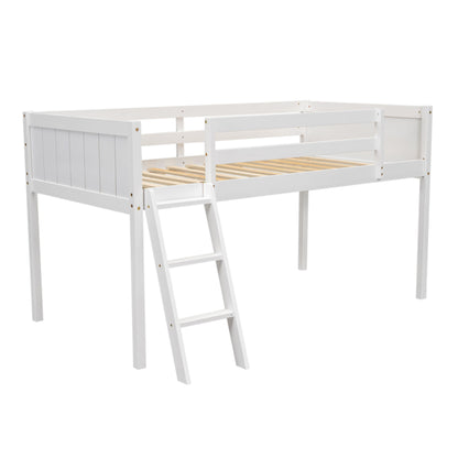 Low Loft Bed With Adjustable Ladder