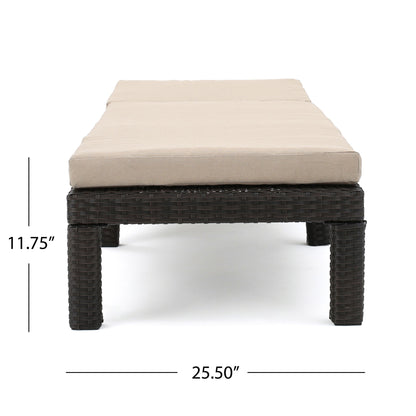 Puerta - Chaise Lounge Frame Cushion Outdoor Wicker Iron - Beige / Dark Brown