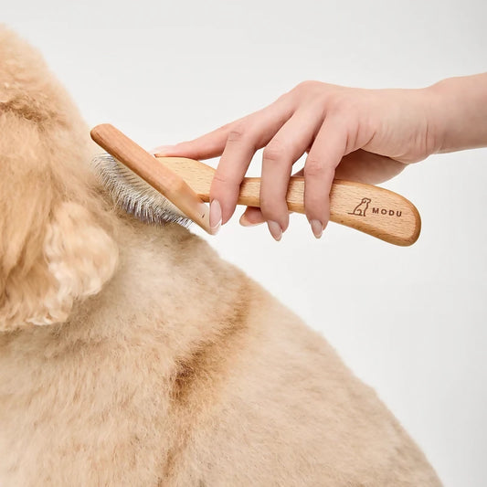 flexi-brush-2