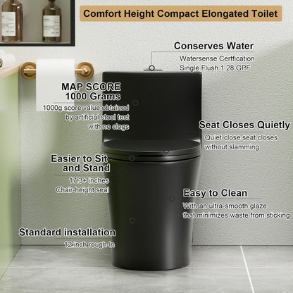 1 Piece Toilet With Dual Flush And Soft Closing Seat