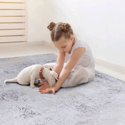 Maval - 6' X 9' Washable Area Rug - Gray / Gold